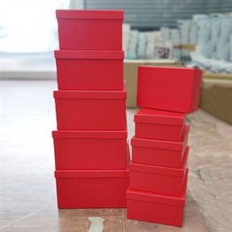 Kırmızı Renk 10lu Kutu